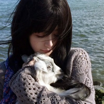 博尼法斯修女探案集第三季海报