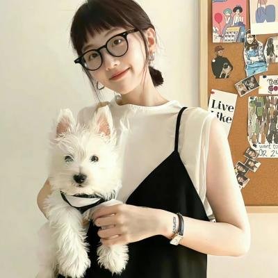 凶猛动物海报